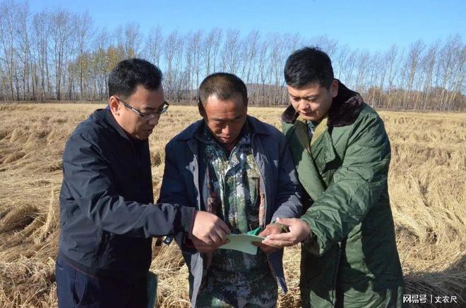 粮价真就涨不得中央一号文件释放信号粮食收购价和补贴迎调整